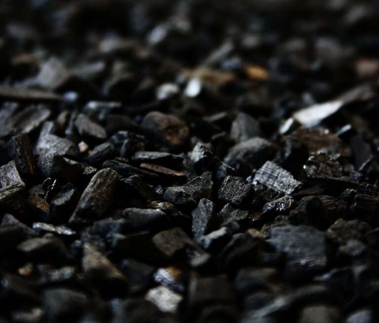 Fundamental Analysis and Intrinsic Value of Coal India Ltd. (2023-24)