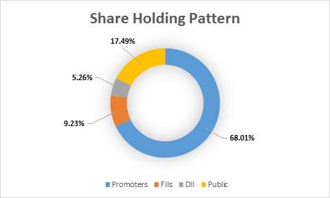 Fundamental Analysis and Intrinsic Value of Maharashtra Seamless Ltd. (2024-25)